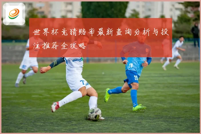 世界杯竞猜赔率最新查询分析与投注推荐全攻略