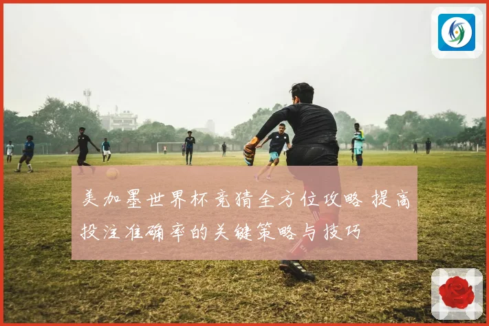 美加墨世界杯竞猜全方位攻略 提高投注准确率的关键策略与技巧