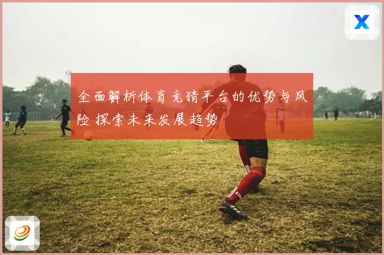 全面解析体育竞猜平台的优势与风险 探索未来发展趋势