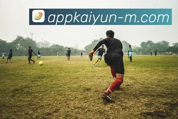 开云App官方下载入口 - 手机应用下载安装与更新指南 | 开云 Slide 2